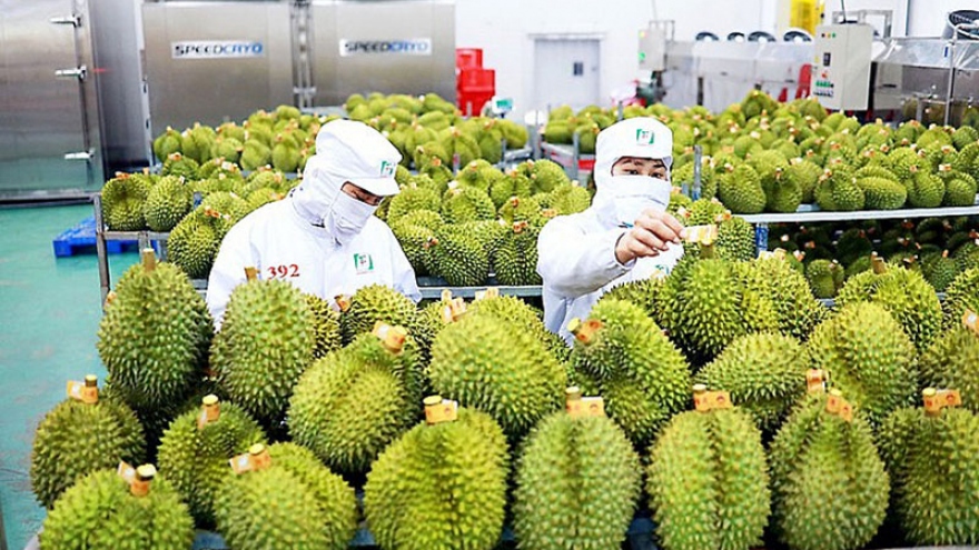 Durian exports gross US$253 million in first quarter